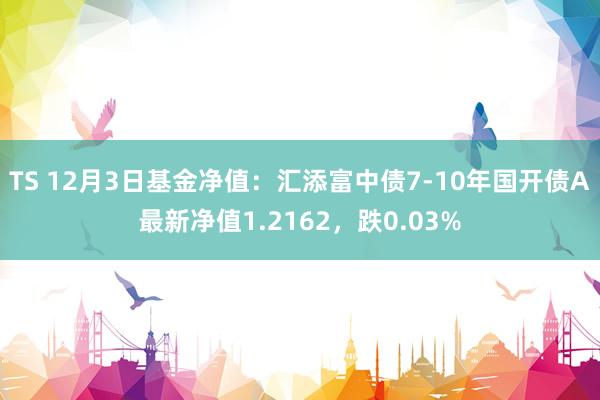 TS 12月3日基金净值：汇添富中债7-10年国开债A最新净值1.2162，跌0.03%