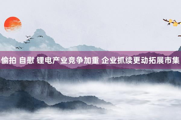 偷拍 自慰 锂电产业竞争加重 企业抓续更动拓展市集