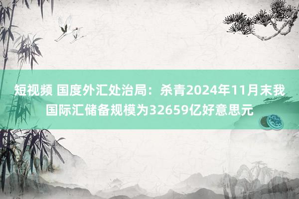 短视频 国度外汇处治局：杀青2024年11月末我国际汇储备规模为32659亿好意思元