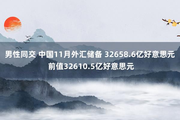 男性同交 中国11月外汇储备 32658.6亿好意思元 前值32610.5亿好意思元