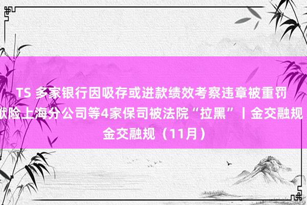 TS 多家银行因吸存或进款绩效考察违章被重罚 长安包袱险上海分公司等4家保司被法院“拉黑”丨金交融规（11月）