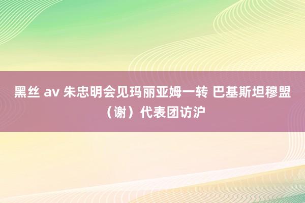 黑丝 av 朱忠明会见玛丽亚姆一转 巴基斯坦穆盟（谢）代表团访沪