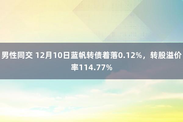 男性同交 12月10日蓝帆转债着落0.12%，转股溢价率114.77%