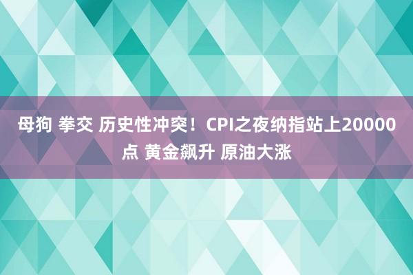 母狗 拳交 历史性冲突！CPI之夜纳指站上20000点 黄金飙升 原油大涨