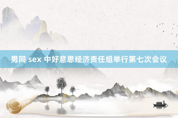 男同 sex 中好意思经济责任组举行第七次会议