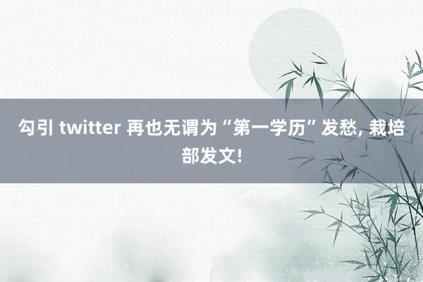 勾引 twitter 再也无谓为“第一学历”发愁， 栽培部发文!