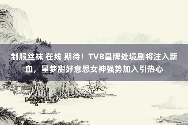 制服丝袜 在线 期待！TVB皇牌处境剧将注入新血，星梦甜好意思女神强势加入引热心