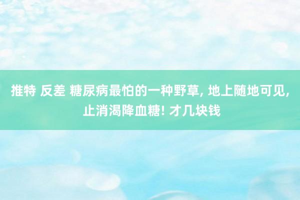 推特 反差 糖尿病最怕的一种野草， 地上随地可见， 止消渴降血糖! 才几块钱