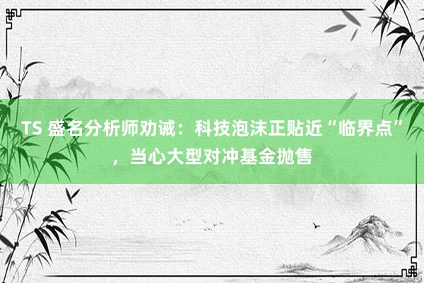 TS 盛名分析师劝诫：科技泡沫正贴近“临界点”，当心大型对冲基金抛售