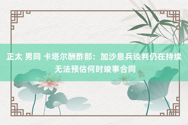 正太 男同 卡塔尔酬酢部：加沙息兵谈判仍在持续 无法预估何时竣事合同