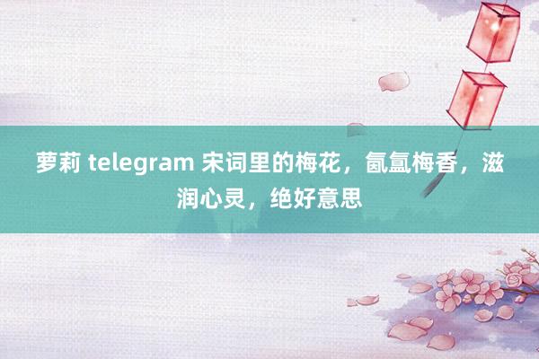 萝莉 telegram 宋词里的梅花，氤氲梅香，滋润心灵，绝好意思