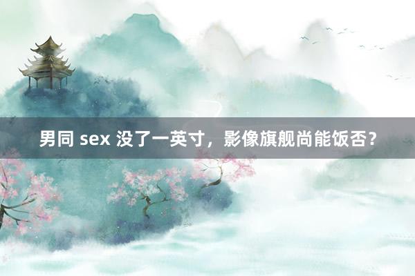 男同 sex 没了一英寸，影像旗舰尚能饭否？