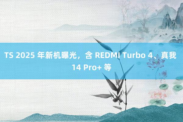 TS 2025 年新机曝光，含 REDMI Turbo 4、真我 14 Pro+ 等