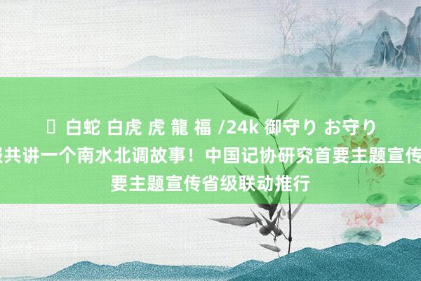 ✨白蛇 白虎 虎 龍 福 /24k 御守り お守り 五家省级党报共讲一个南水北调故事！中国记协研究首要主题宣传省级联动推行