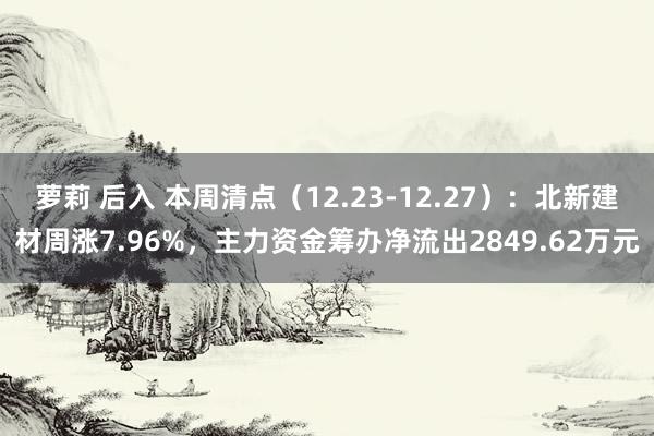 萝莉 后入 本周清点（12.23-12.27）：北新建材周涨7.96%，主力资金筹办净流出2849.62万元