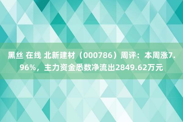 黑丝 在线 北新建材（000786）周评：本周涨7.96%，主力资金悉数净流出2849.62万元