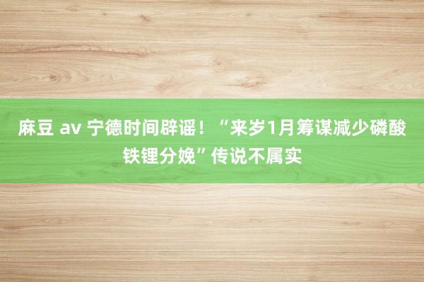 麻豆 av 宁德时间辟谣！“来岁1月筹谋减少磷酸铁锂分娩”传说不属实