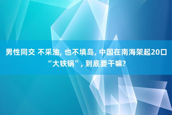 男性同交 不采油， 也不填岛， 中国在南海架起20口“大铁锅”， 到底要干嘛?