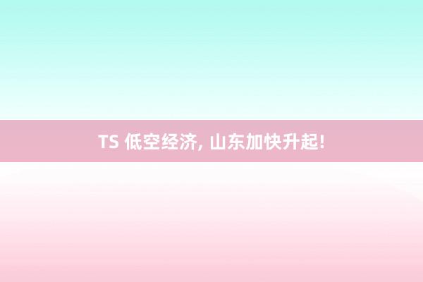 TS 低空经济， 山东加快升起!