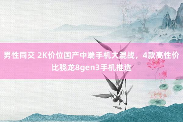 男性同交 2K价位国产中端手机大混战，4款高性价比骁龙8gen3手机推选