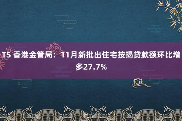 TS 香港金管局：11月新批出住宅按揭贷款额环比增多27.7%