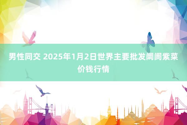 男性同交 2025年1月2日世界主要批发阛阓紫菜价钱行情