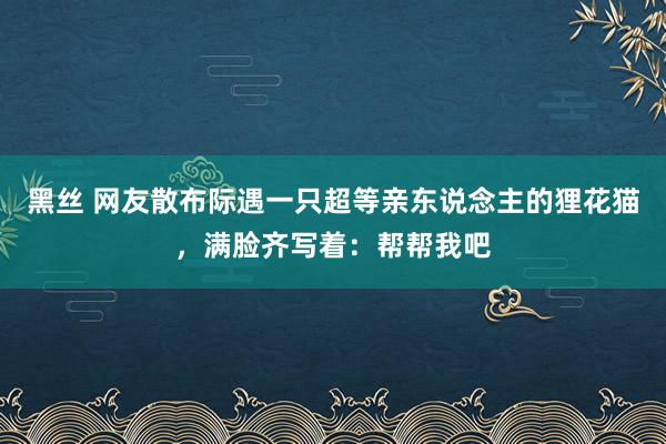 黑丝 网友散布际遇一只超等亲东说念主的狸花猫，满脸齐写着：帮帮我吧