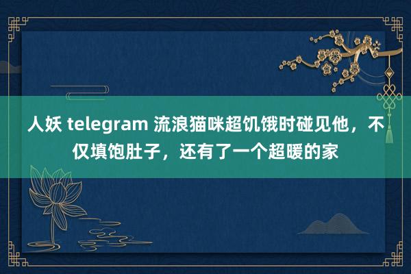 人妖 telegram 流浪猫咪超饥饿时碰见他，不仅填饱肚子，还有了一个超暖的家