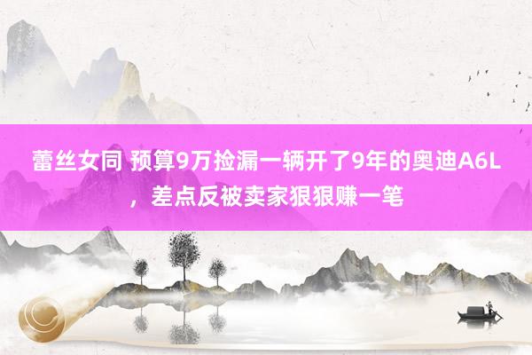 蕾丝女同 预算9万捡漏一辆开了9年的奥迪A6L，差点反被卖家狠狠赚一笔