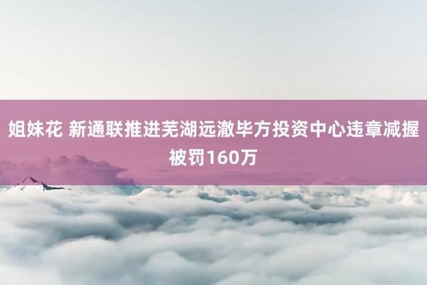 姐妹花 新通联推进芜湖远澈毕方投资中心违章减握被罚160万