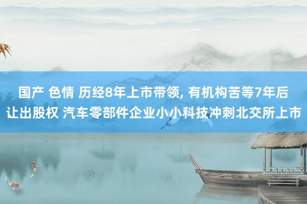 国产 色情 历经8年上市带领， 有机构苦等7年后让出股权 汽车零部件企业小小科技冲刺北交所上市