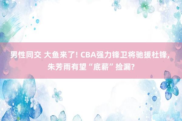 男性同交 大鱼来了! CBA强力锋卫将驰援杜锋， 朱芳雨有望“底薪”捡漏?