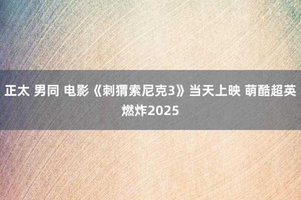 正太 男同 电影《刺猬索尼克3》当天上映 萌酷超英燃炸2025