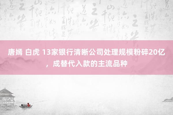 唐嫣 白虎 13家银行清晰公司处理规模粉碎20亿，成替代入款的主流品种