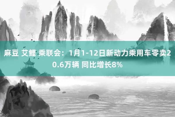 麻豆 艾鲤 乘联会：1月1-12日新动力乘用车零卖20.6万辆 同比增长8%