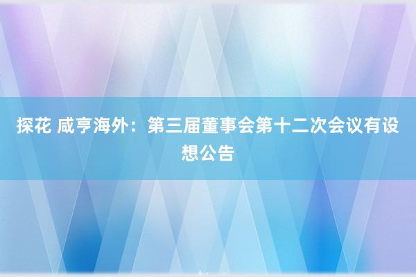 探花 咸亨海外：第三届董事会第十二次会议有设想公告